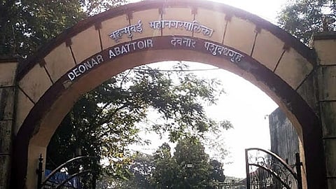 मोठी बातमी - देवनार पशुवधगृहात आजपासून धार्मिक कत्तलीला परवानगी