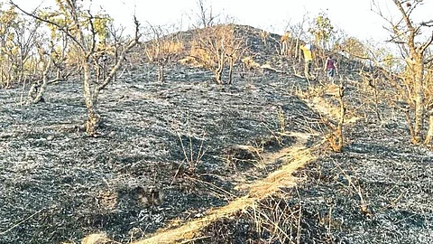 Satara Latest Marathi News