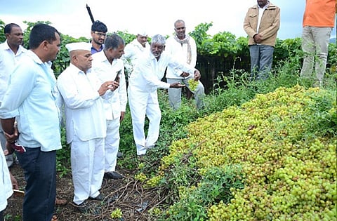dilip borse visitis grapes.jpg