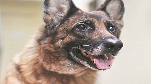 one person murder to another person reason is to take money from him and work not done time in ratnagiri