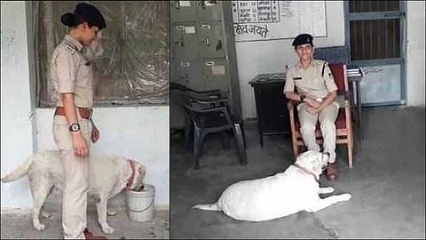 Murder Accused Family In Jail police Care For Pet Labrador at mp