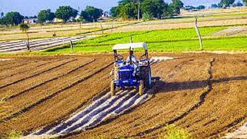 youth doing good farming and earning good money