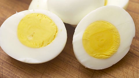 egg