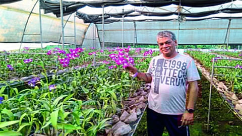 रोहा : ऑर्किड शेती दाखवताना श्रीनिवास सत्या .
