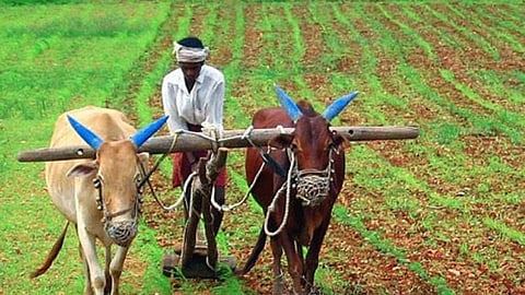 budget 2020 key highlights for agriculture information in marathi