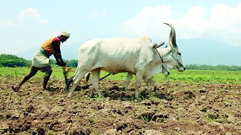 There is no allocation of funds to farmers