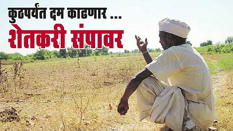 Bhagwat Tawre article about farmer