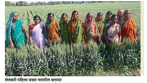 'उगम' करतेय शेती, पर्यावरण अन् शिक्षणाचा जागर