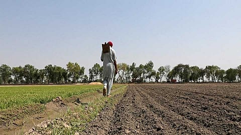 कोरोना पाठोपाठ आता शेतकऱ्यांसाठी पुढील पाच दिवस आहेत अधिक धोक्याचे...