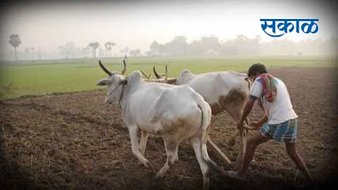 money on 7 12 of income tax paying farmers who take kisan samman fund in yavatmal