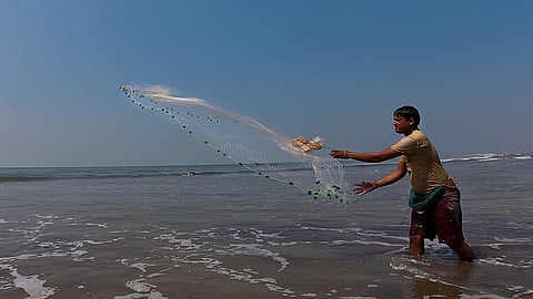 the policy of matsya sampada in konkan under the project of fish farming declared 60 percent grant in ratnagiri
