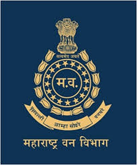 Transfer of 119 RfO In State