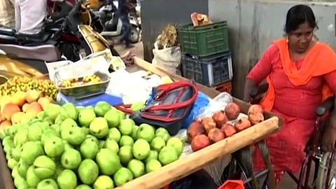 fruit