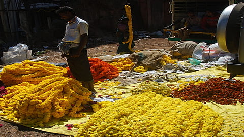 10 ton tinkle sale for today one day in belgaum it's beneficial for farmers also