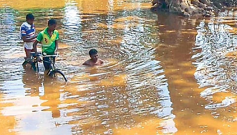 भामरागड : नाल्यातून पोहत मतदानासाठी जाताना दिव्यांग प्राजून गावडे.