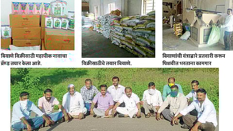 बिजोत्पादनातून ‘गौरीनंदन’ ची उलाढाल पोचली ३ कोटीवर