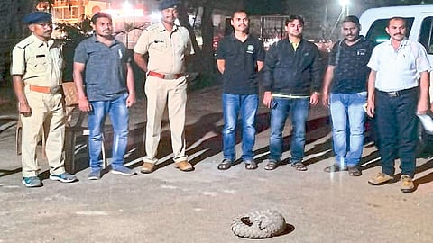 गडचिरोली : दुर्मिळ खवल्या मांजरासह वनविभागाचे अधिकारी.