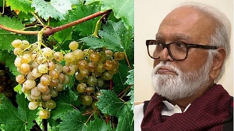 grapes policy bhujbal.jpg