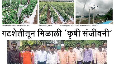 Agrowon special story Group Farming