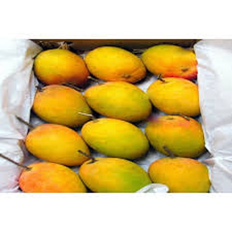 hapus mango home delivery by tempo