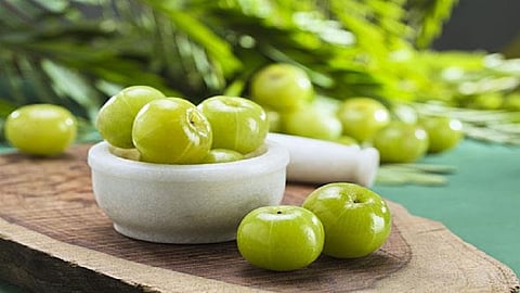 health benefits of Amla Useful for acidity Diabetes Immunity eye and Infection