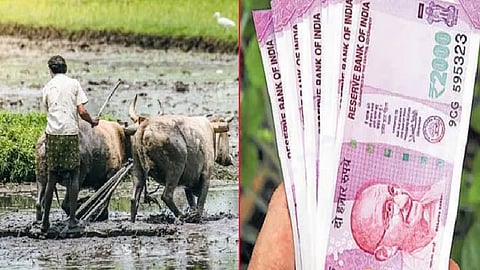 Akola News: Rs 47.89 crore assistance to farmers!