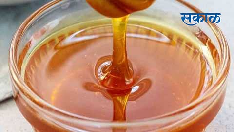 benefits of honey for skin and hairs with all beauty nagpur news