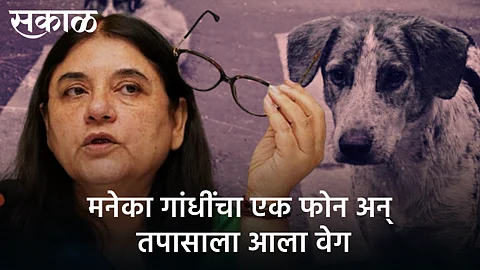investigation came speeded up after Maneka Gandhi's phone in tcase of throwing a dog from a building