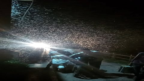 20 Accidents Caused By Flying Birds ! Kolhapur Marathi News