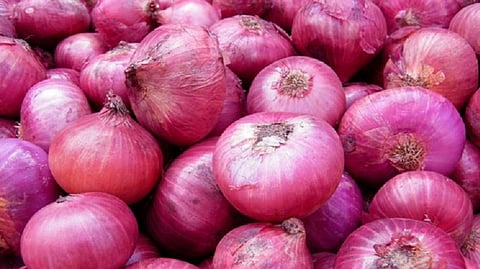 onion
