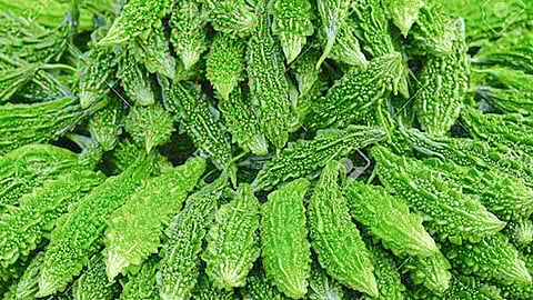 rate increase for Carla