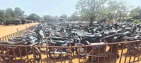 A fine of 46 thousand was recovered kolhapur