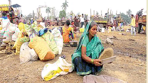 working sugarcane workers started arriving in western Maharashtra from Marathwada