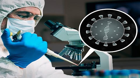 मुंबई महापालिका सज्ज, भविष्यातील संसर्गाच्या पार्श्वभूमीवर स्थापणार अत्याधुनिक लॅब