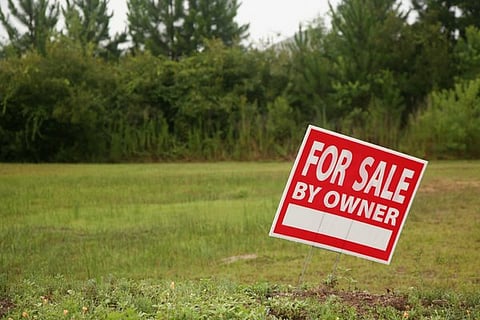 Careful! Taking plots, millions are cheating