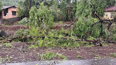 nature hurricane attack in mandangad ratnagiri
