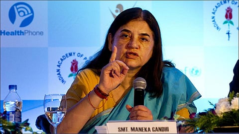 Maneka Gandhi