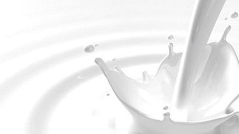 adulteration in milk