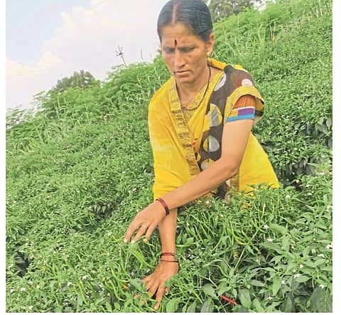 mirchi new.jpg