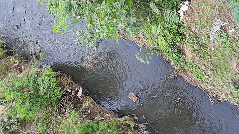 मोशी परिसरातील 'या' नाल्यामुळे नागरिकांचे आरोग्य धोक्यात!