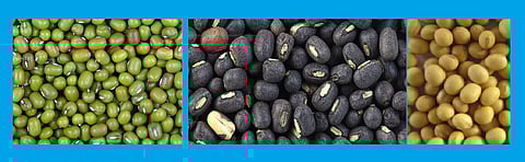 संग्रहित छायाचित्र.