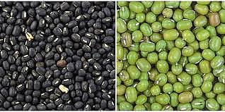 Parner market committee to buy green gram and urad from tomorrow