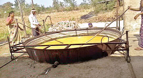 Production of 800 quintals of jaggery from sugarcane