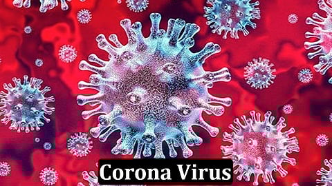 new corona 3856 patients Found In Pune district and 1658 people in the city