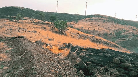 I don't know who started the fire ...