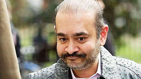 pnb fraud case nirav modi return india punishment and allegation explained marathi news