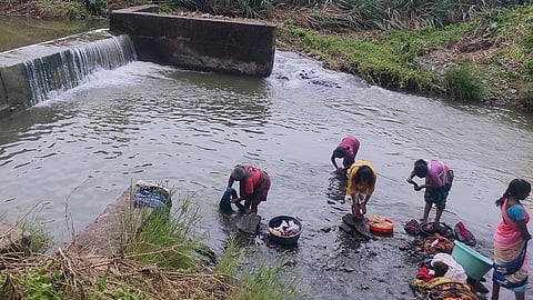 भोकर - तालुक्यात यंदा सरासरी इतका पाऊस झाल्याने नदी - नाले खळखळून लागले वाहू वाहत आहेत.