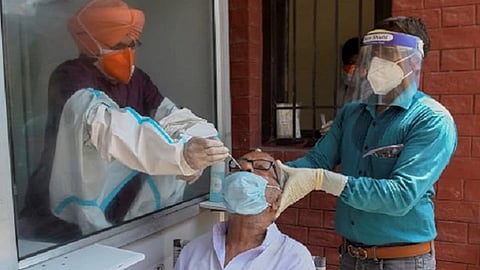 no death due to corona