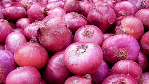 onion