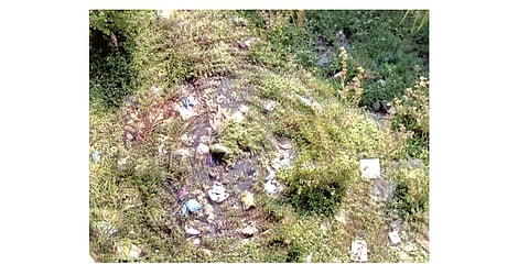 Open plots dengue, malaria's hotspots